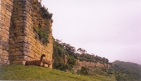 Kuelap Gate Guardians