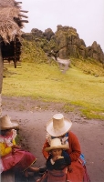 Silly Hat Countryside