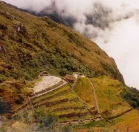 Terrace Farming
