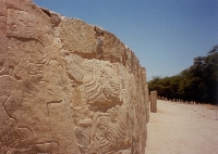 Warriors Wall