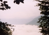 Alpine Sea