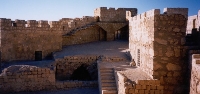 Palmyra Castle