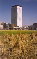 Rural Urban