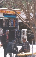 Backgammon Players