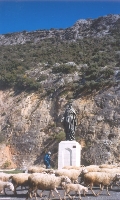 Virgin And Shepherd