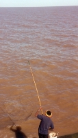 Plate Net Fishing