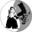 aikido throw