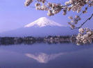 Mt. Fuji
