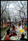 hanami