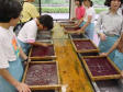 making washi