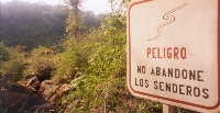Dont Leave The Trail