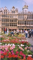 Brussles
