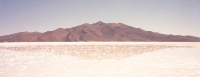 Reflective Salt