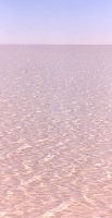 Salt After Water