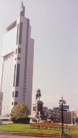The Needle