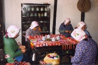 Knitting Circle