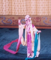 Opera Blurred