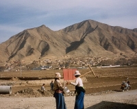 Rural Labour