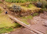 Plank Bridge