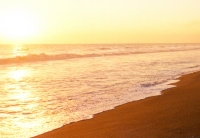 Black Sand Sunset