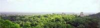 Jungle Ruins2