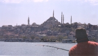 Golden Horn