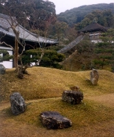 Moss Garden