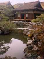 Rock Garden