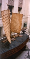 Turtle Ship
