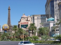 Strip Daytime