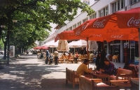 Cafe Culture