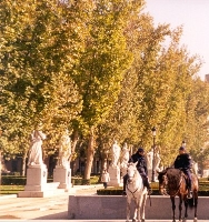 Horse Police