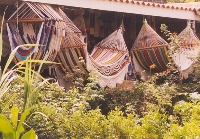 Hammocks
