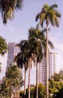 Business District