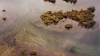 Bottom Of Lake