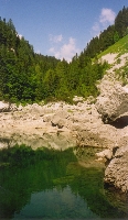 Alpine Scene
