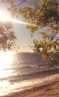 Atlantic Sunrise