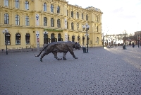 Olso is notorious for it's giant tiger population.