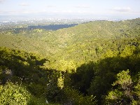 Down there is the Hidden Villa!