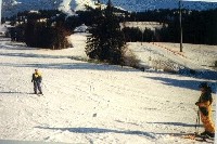 Rachael watching Nico