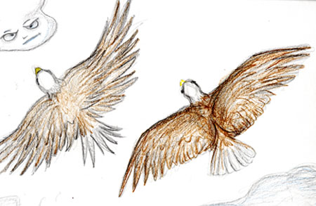 eagle4