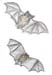 bat2