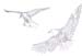 eagle1