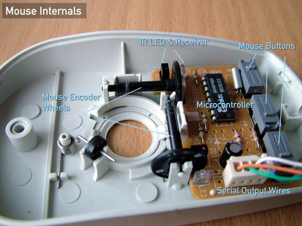mouse_details