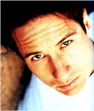 DDcloseup2
