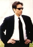 Foxshades