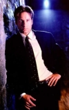 Mulder01
