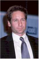 Mulder 34