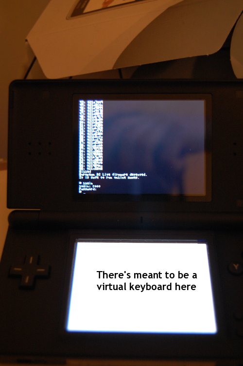 DSLinux terminal view