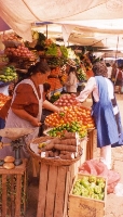 Fruit Market